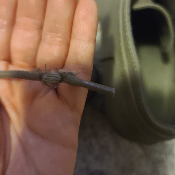 Rocket Dog Taupe Ankle Booties Sz 7.5 - Picture 5 of 5